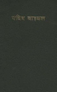 Image of The Holy Bible ( New Revised Version )  Thn. 2005