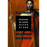 Image of Brother of Jesus Friend of God: Studies in the Letter of James