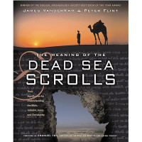 Image of The Meaning of the Dead Sea Scrolls
